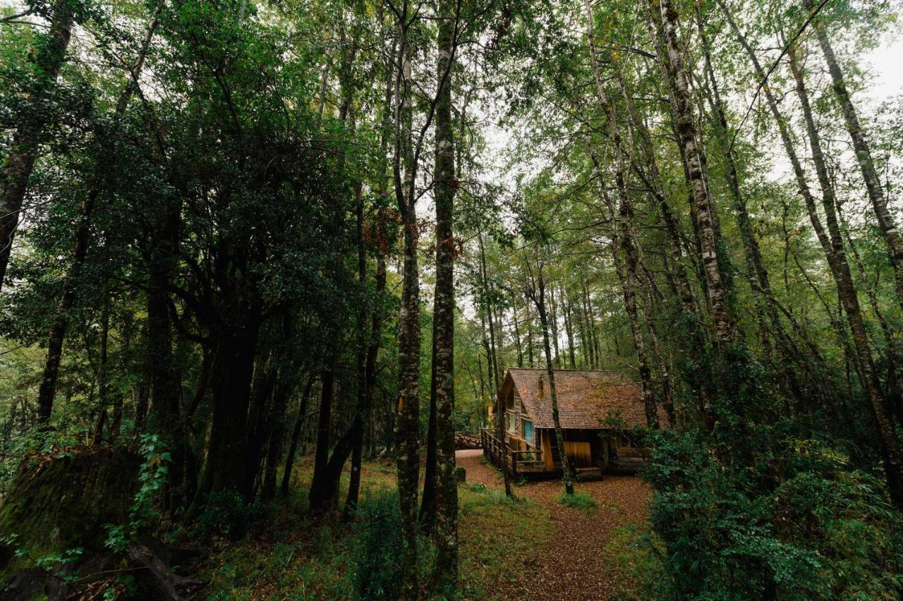 Huilo Huilo Cabanas Del Bosque Puerto Fuy Szoba fotó