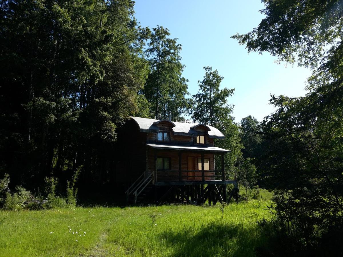 Huilo Huilo Cabanas Del Bosque Puerto Fuy Kültér fotó