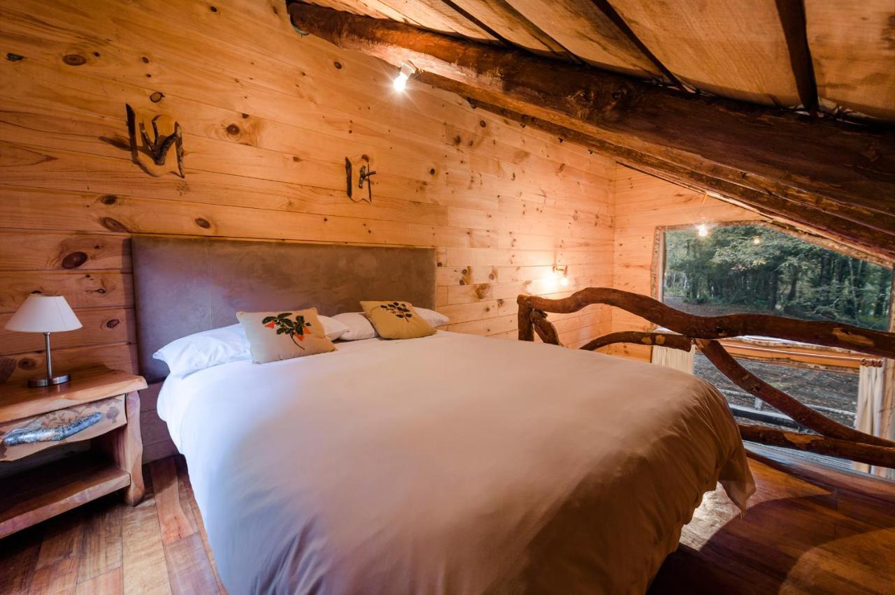 Huilo Huilo Cabanas Del Bosque Puerto Fuy Szoba fotó